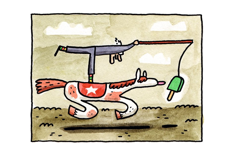 CRÉDITO: CACO GALHARDO_2026