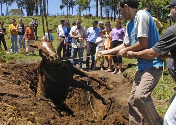 Imagem Encontrada caixa preta do cavalo que derrubou Aécio