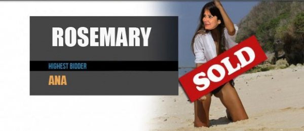 Imagem Rosemary Noronha leiloa honestidade na internet