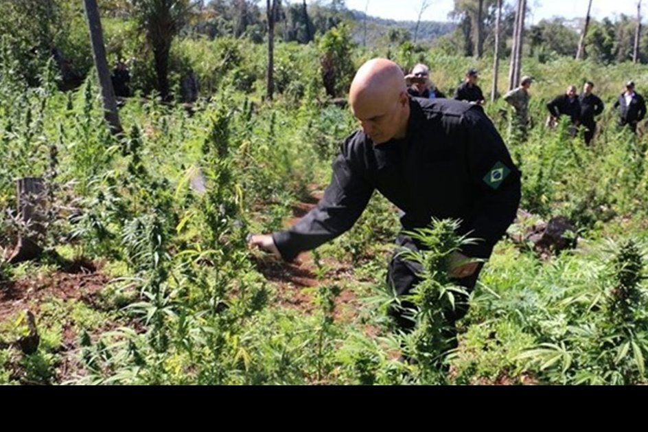 Imagem Alexandre de Moraes plagiou careca de Lex Luthor