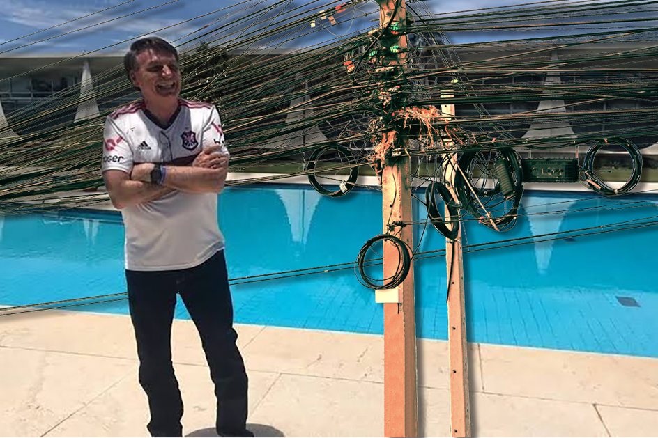 Imagem Bolsonaro adota um gatonet que estava perdido no Alvorada