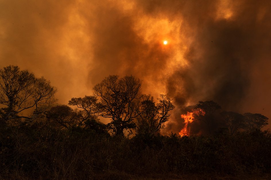 Imagem A mão que acende o fogo