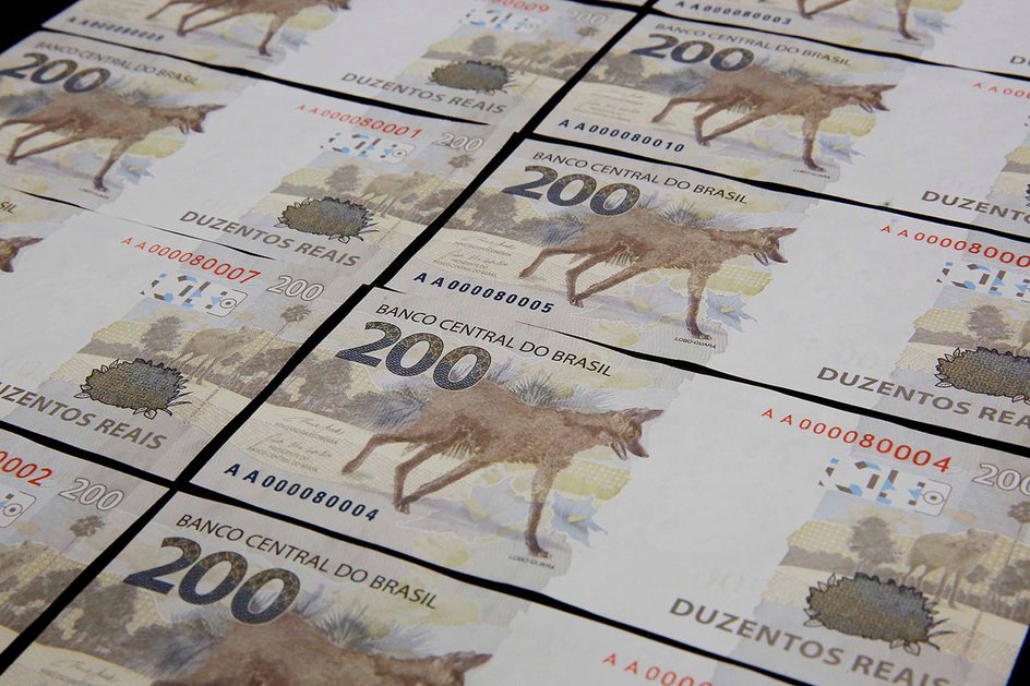 Imagem Lobo nasce endividado