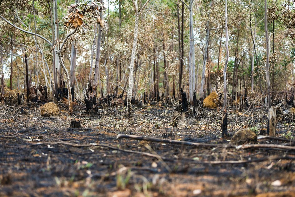 Imagem Governo joga fumaça nos dados sobre queimadas