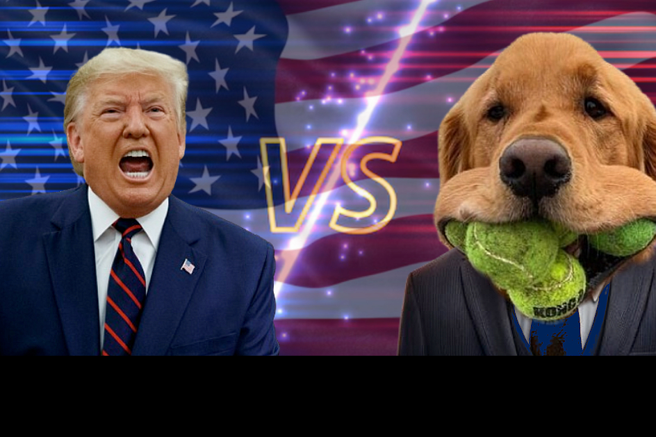 Imagem Desesperados com possível vitória de Trump, Democratas trocam Biden por um labrador
