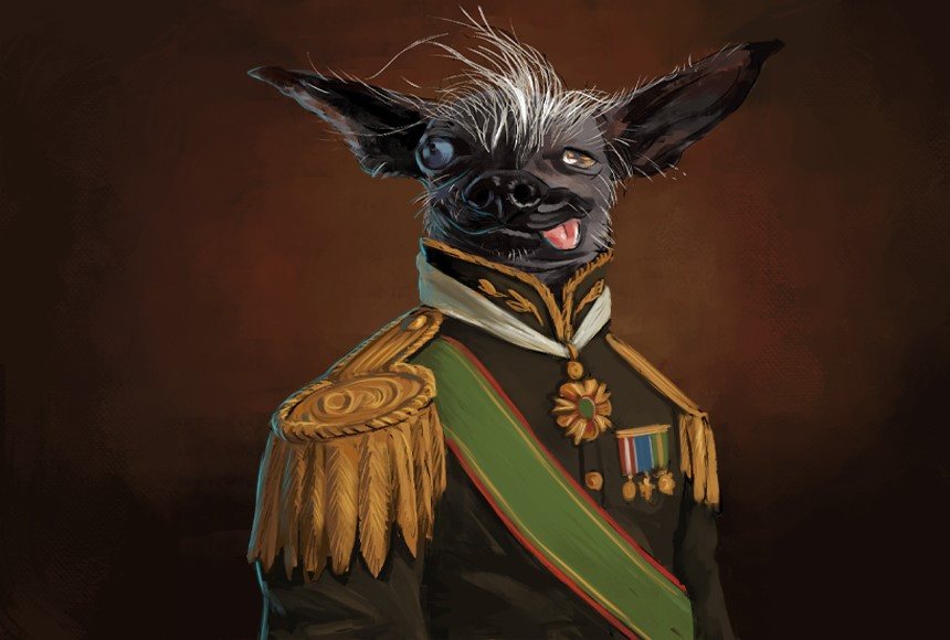 Imagem A guerra ideológica no adestramento de cães