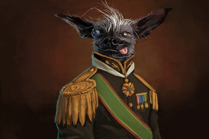 Imagem A guerra ideológica no adestramento de cães