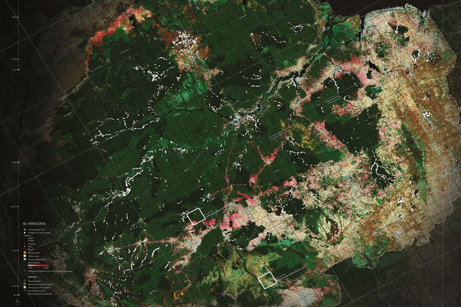 Imagem Floresta revelada