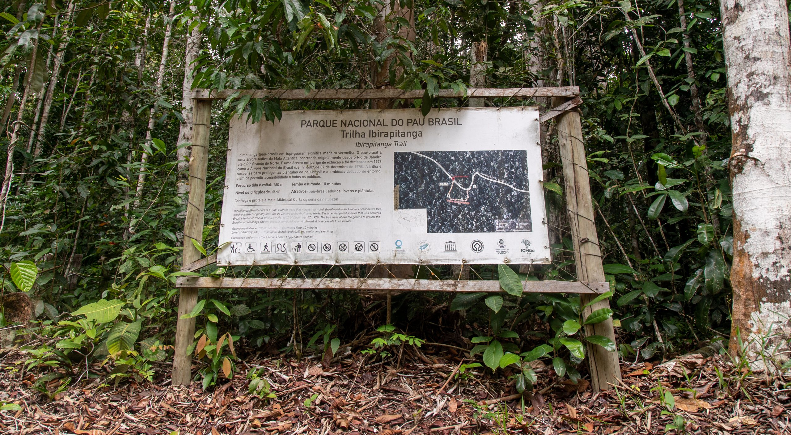 Entrada da Trilha Ibirapitanga, onde é possível ver árvores de pau-brasil |  Foto: Joana Moncau