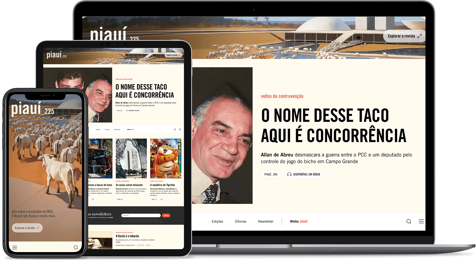 Plano Piauí digital