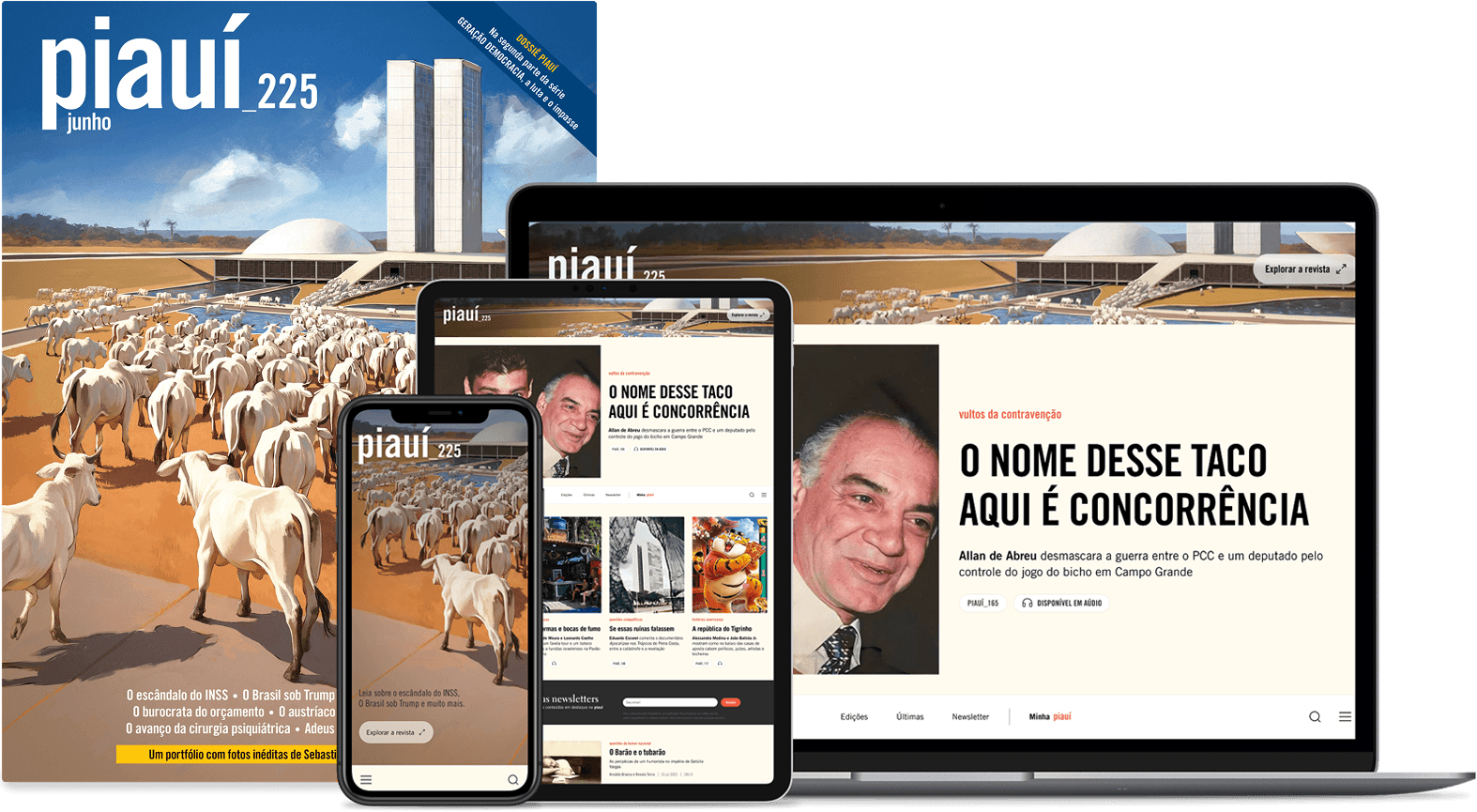Plano Piauí digital